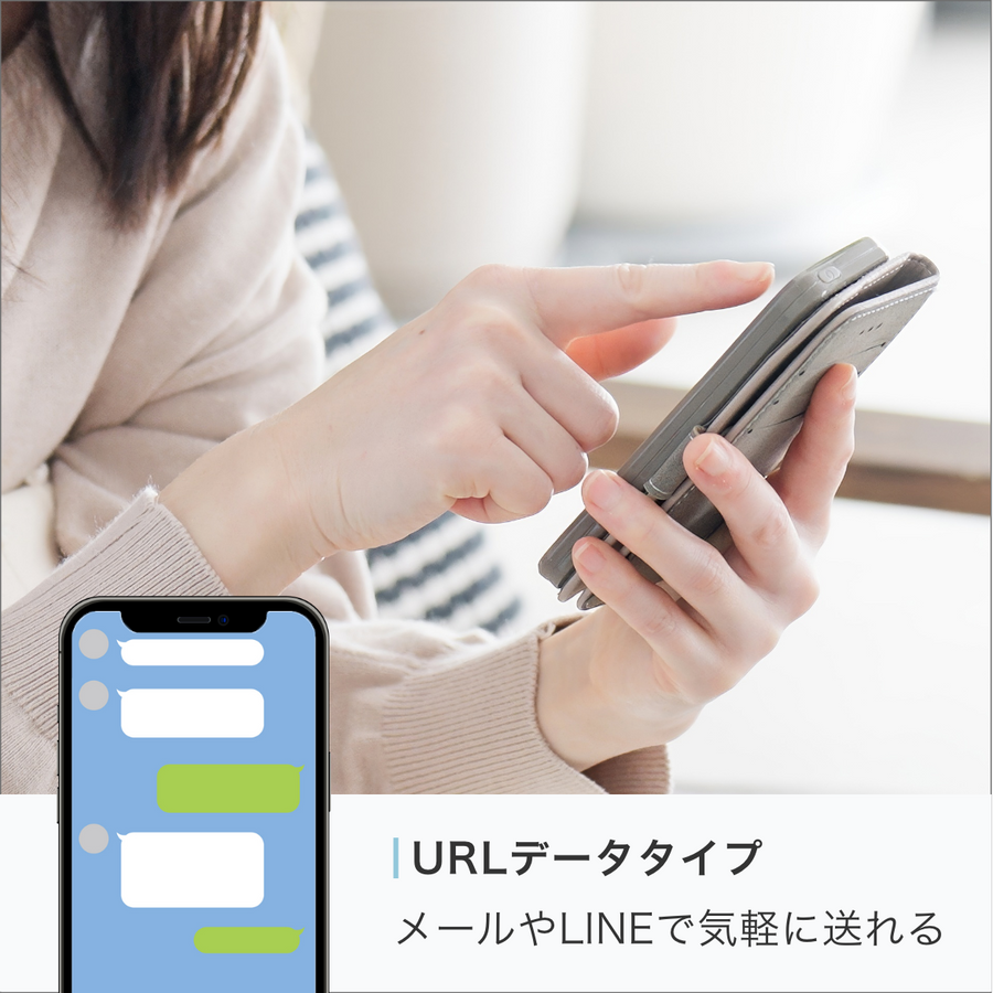 データ納品タイプ