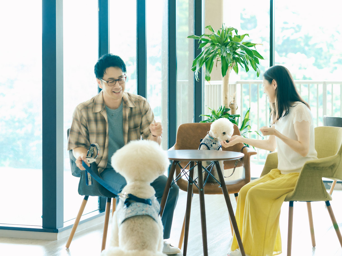 愛犬と食事の時間を楽しむ旅のイメージ